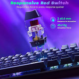 Mechanical Gaming Keyboard Wired, 11 Programmable Backlit Modes