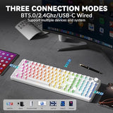 Wireless Mechanical Keyboard-Silent Version,BT5.0/2.4GHz/USB-C
